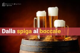 Corso sulla storia e geografia della birra, dalla spiga al boccale, a cura di Riccardo Niccolai, presso UniPop Prato Università Popolare di Prato